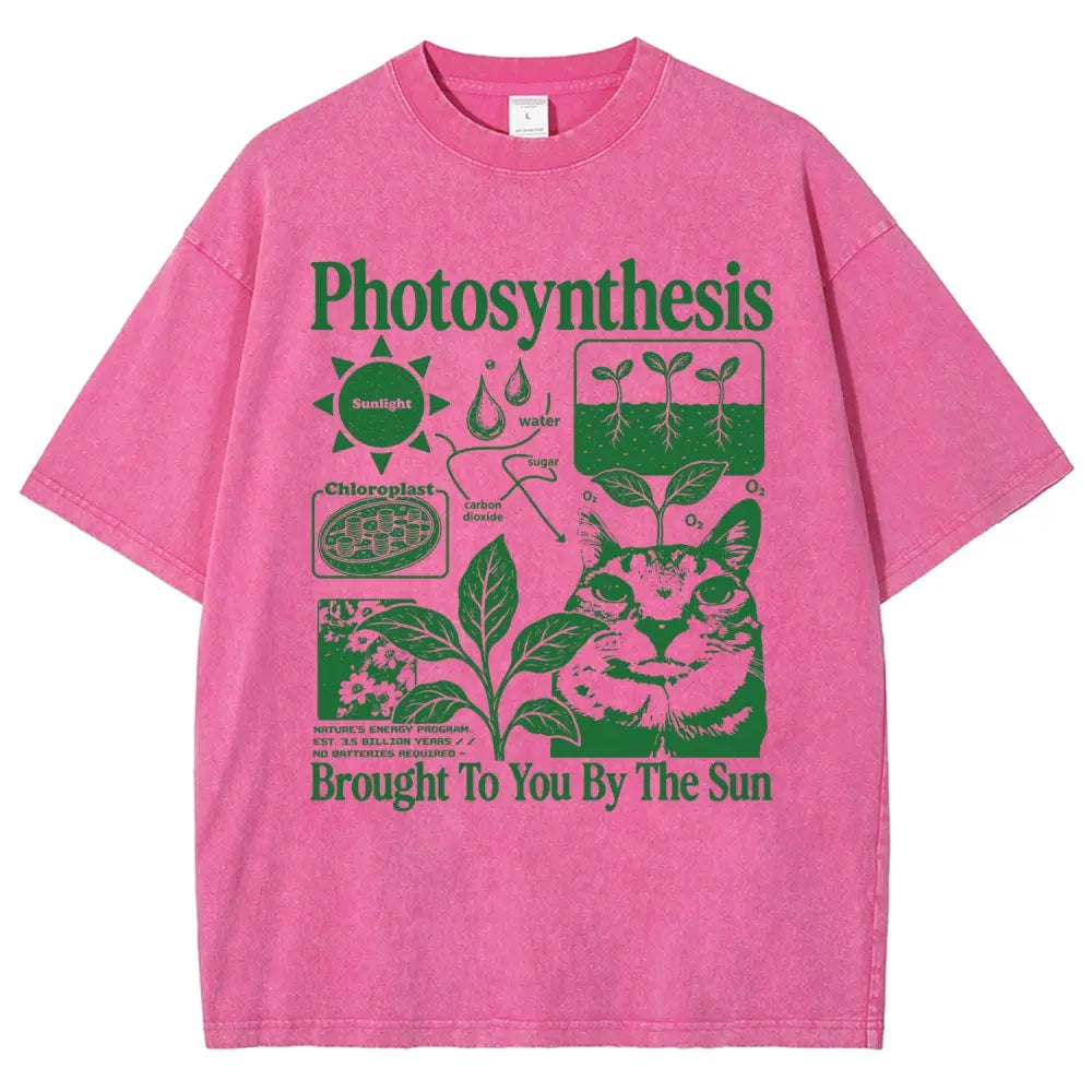 Photosynthesis Cat Graphic T-Shirt – Vintage Washed Science & Nature Tee