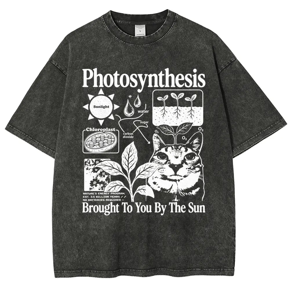 Photosynthesis Cat Graphic T-Shirt – Vintage Washed Science & Nature Tee