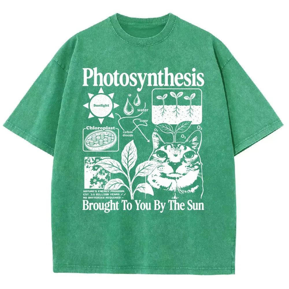 Photosynthesis Cat Graphic T-Shirt – Vintage Washed Science & Nature Tee