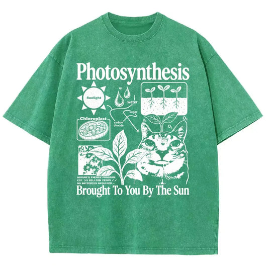 Photosynthesis Cat Graphic T-Shirt – Vintage Washed Science & Nature Tee