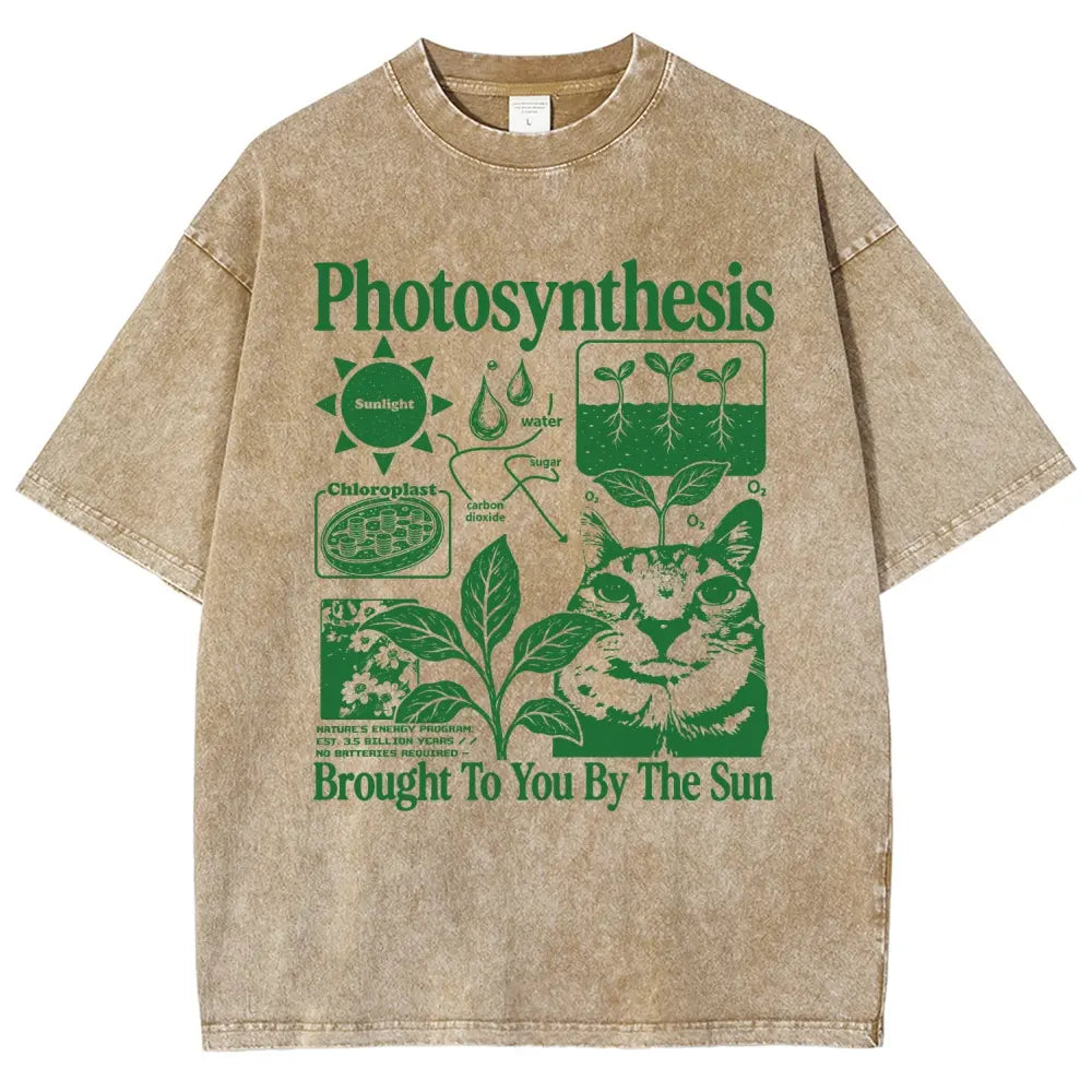 Photosynthesis Cat Graphic T-Shirt – Vintage Washed Science & Nature Tee