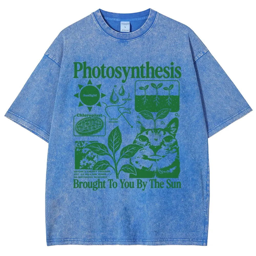 Photosynthesis Cat Graphic T-Shirt – Vintage Washed Science & Nature Tee