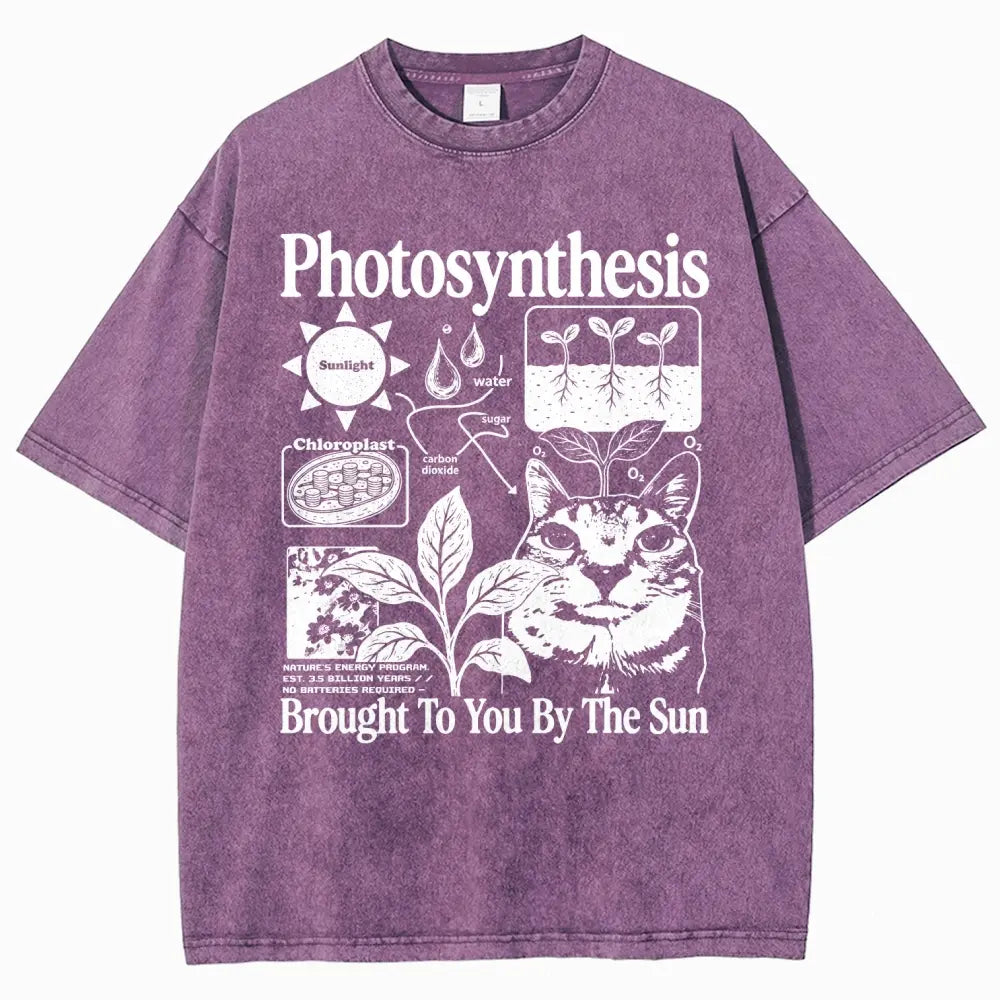 Photosynthesis Cat Graphic T-Shirt – Vintage Washed Science & Nature Tee