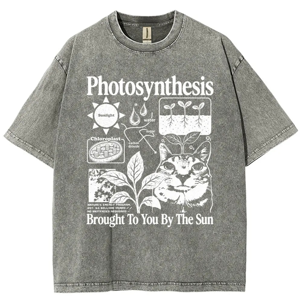 Photosynthesis Cat Graphic T-Shirt – Vintage Washed Science & Nature Tee